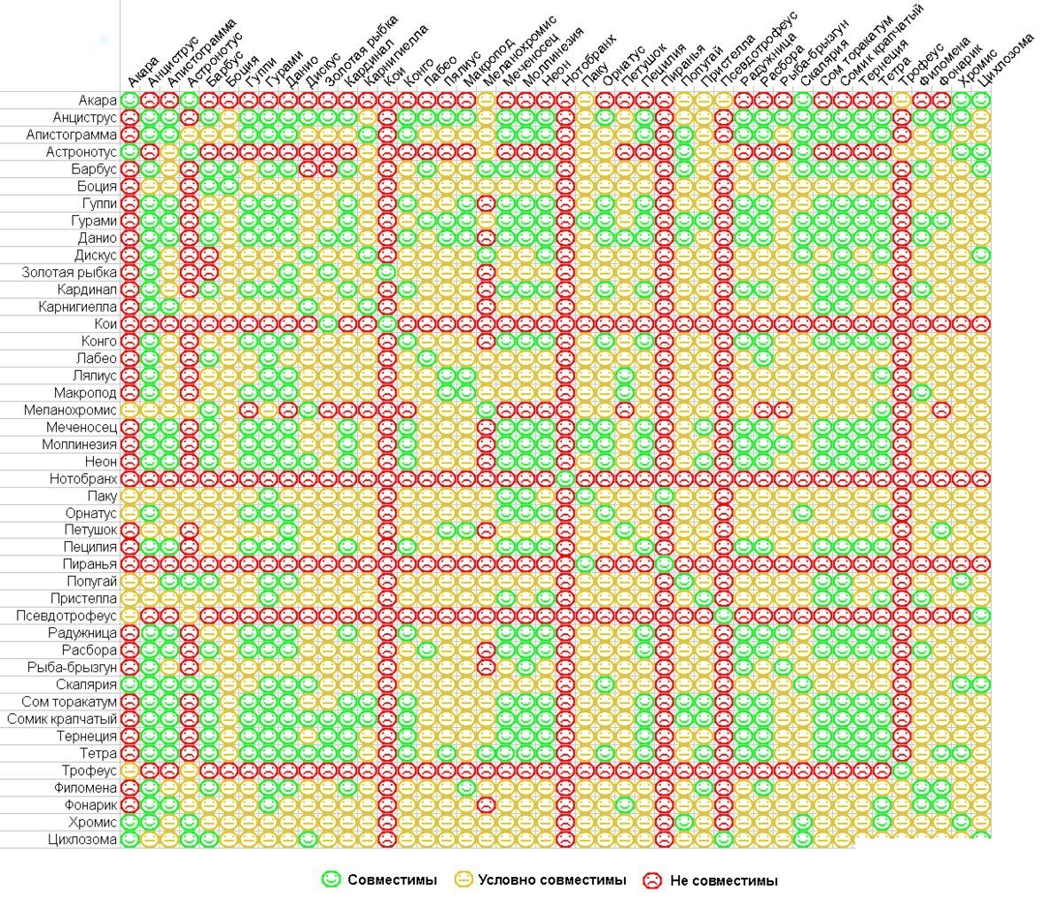Совместимость аквариумных рыбок: советы и рекомендации