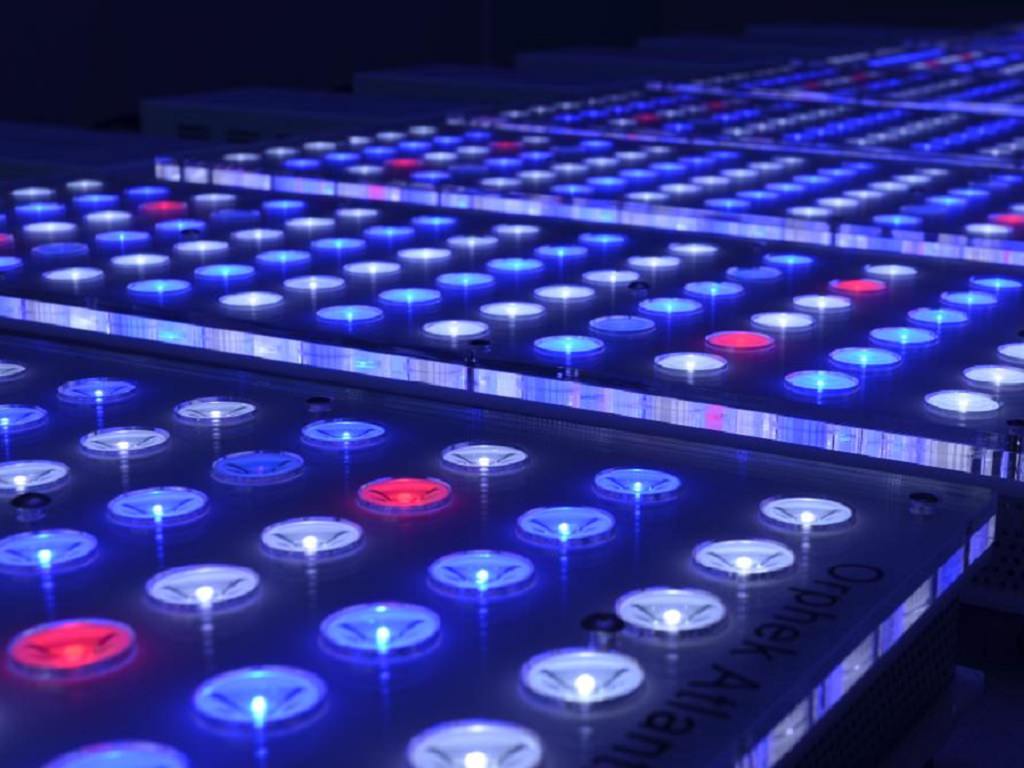 светодиодные лампы для аквариума