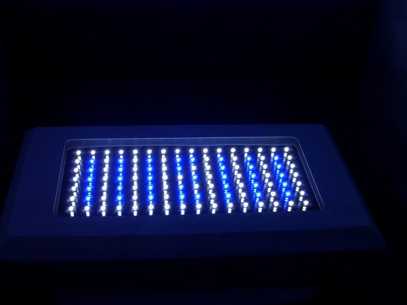 светодиоды для аквариума