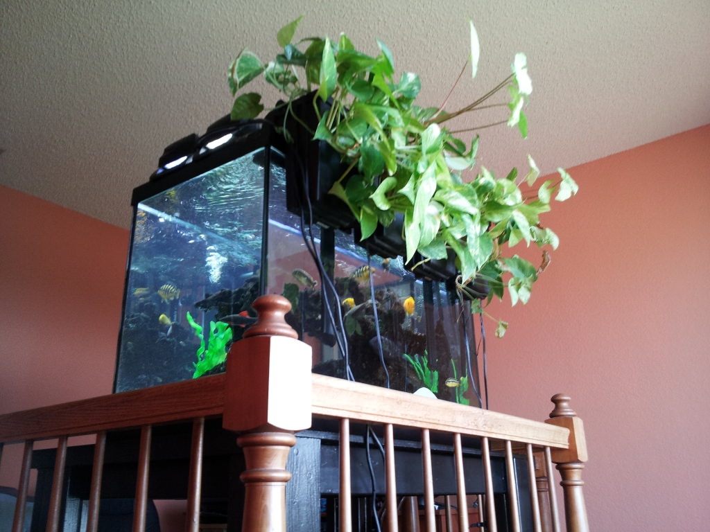 фитофильтр своими руками