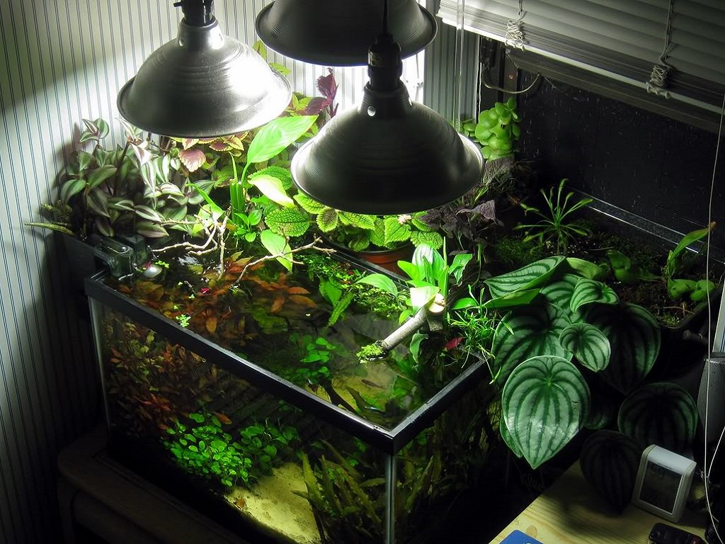 фитофильтр для аквариума