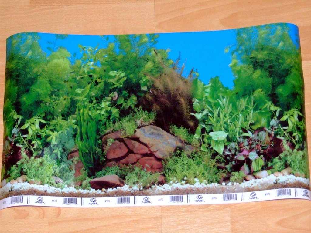 адний фон для аквариума