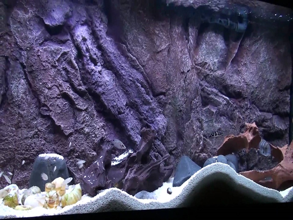 Задний фон для аквариума