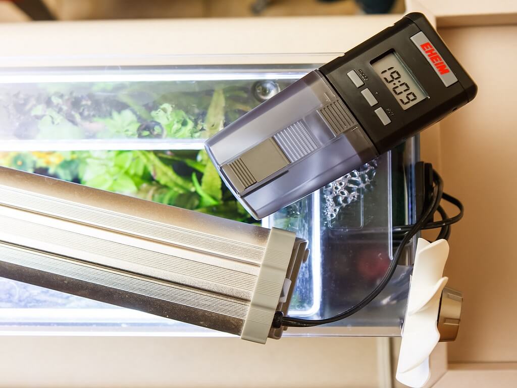 автокормушка для рыб своими руками