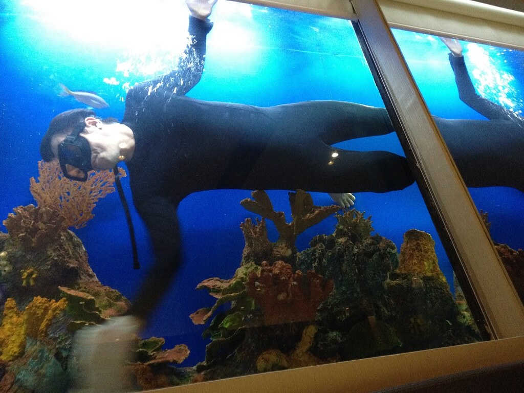 дезинфекция аквариума