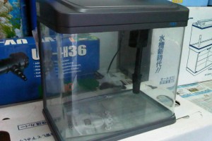 аквариум джебо