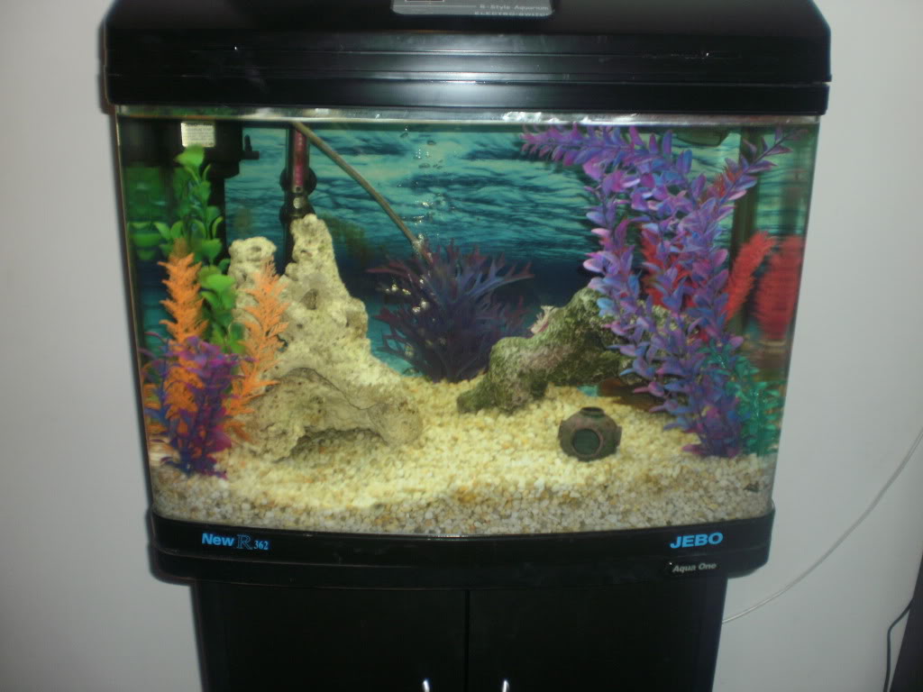 аквариум jebo