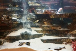 водопад в аквариуме