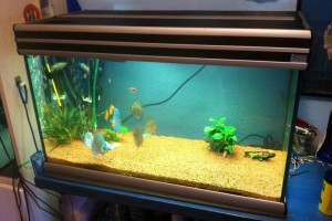 Аквариум Aquatlantis