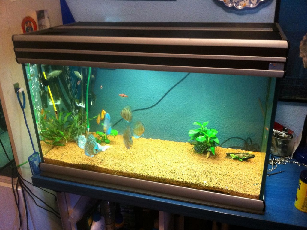 Аквариум Aquatlantis