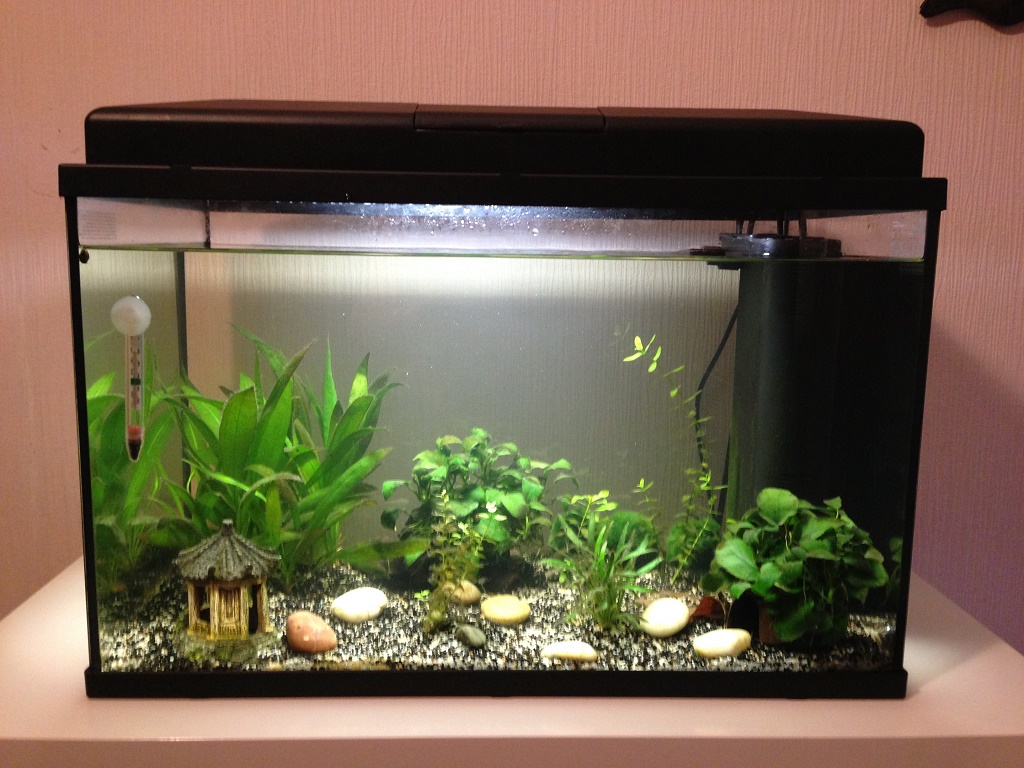 Аквариум Aquatlantis