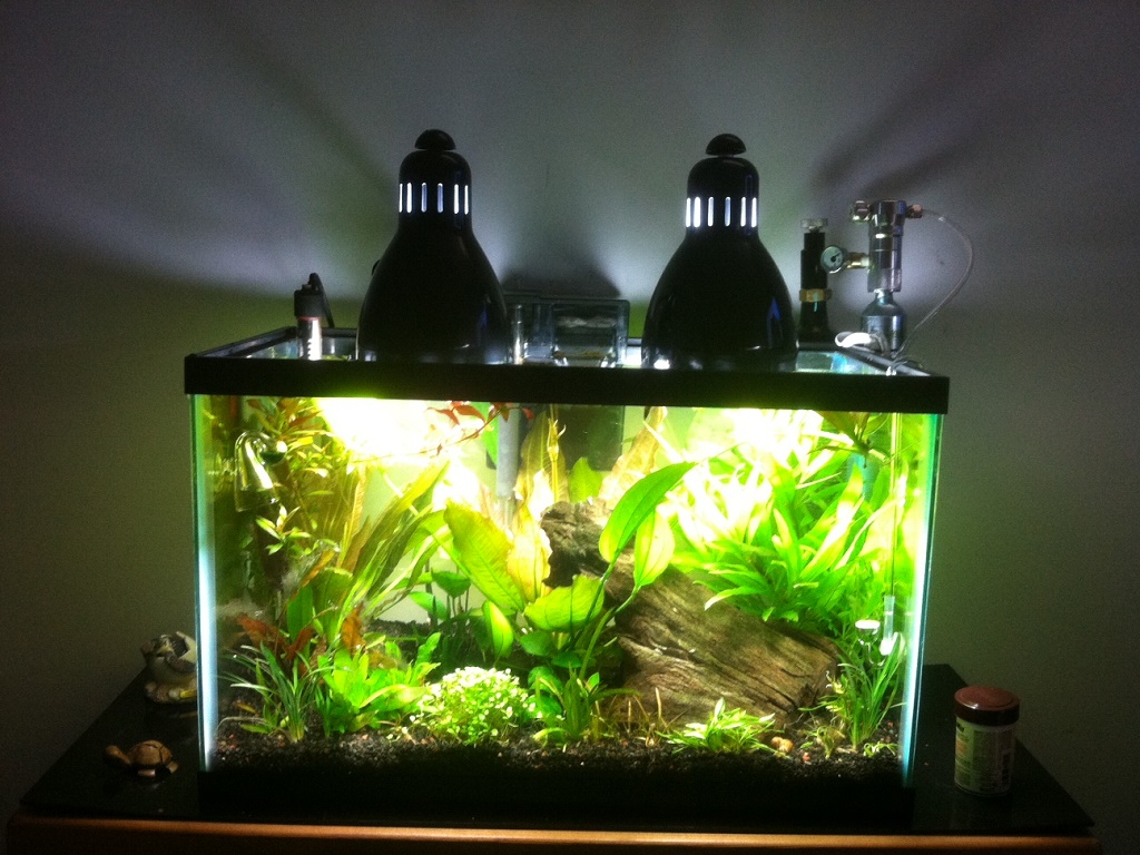 Лампа для аквариумных растений