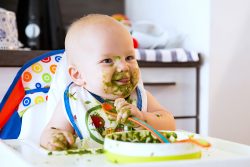 Первый прикорм при грудном вскармливании