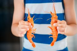 Морепродукты в питании детей