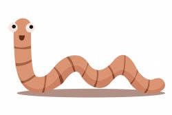 Глисты у детей: лечение в домашних условиях