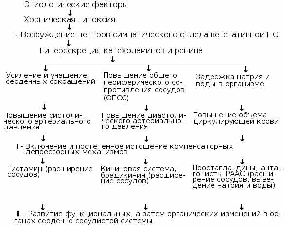 Гипертоническая болезнь классификация и симптомы