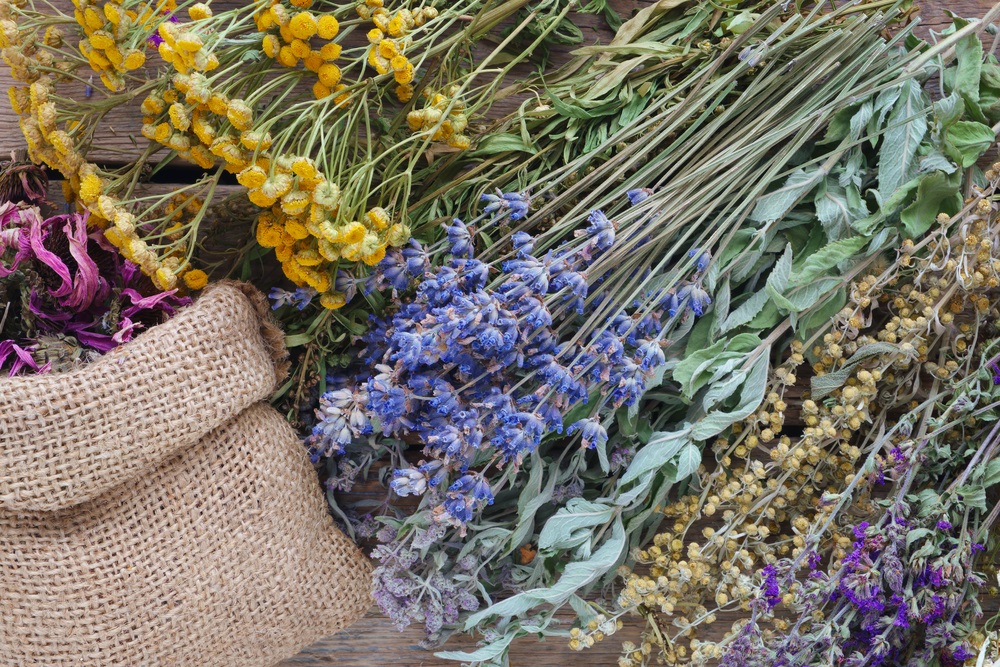 Народные средства для лечения атеросклероза