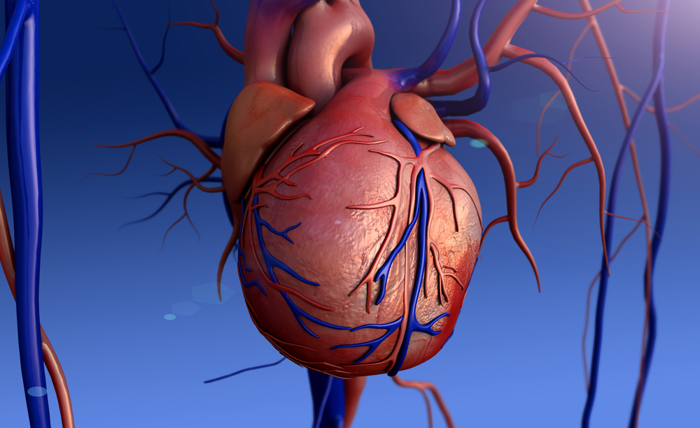 Миксома сердца