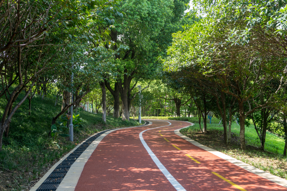 Проживание рядом со спортивными сооружениями влияет на вес человека