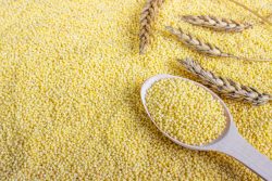 Пшенная каша: польза, вред и калорийность