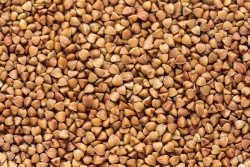 Гречневая каша: польза, вред, калорийность