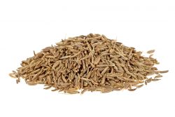 Тмин: лечебные свойства и противопоказания