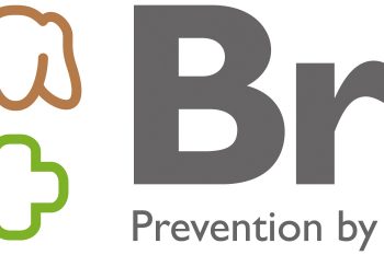 Корм для кошек Brit: обзор, отзывы, рекомендации