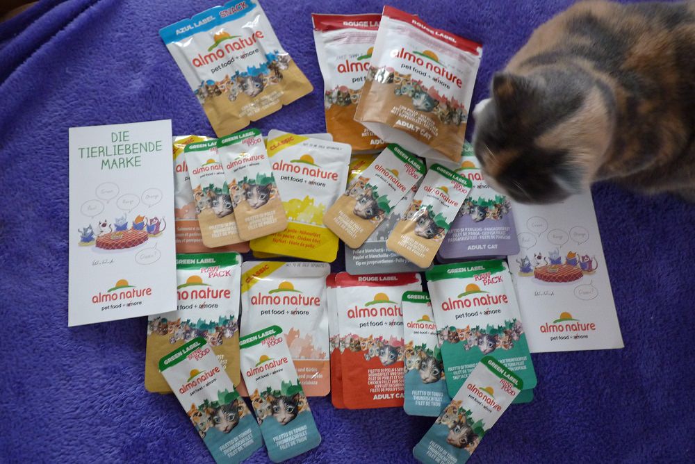 Корм для кошек Almo Nature – обзор, отзывы, рекомендации
