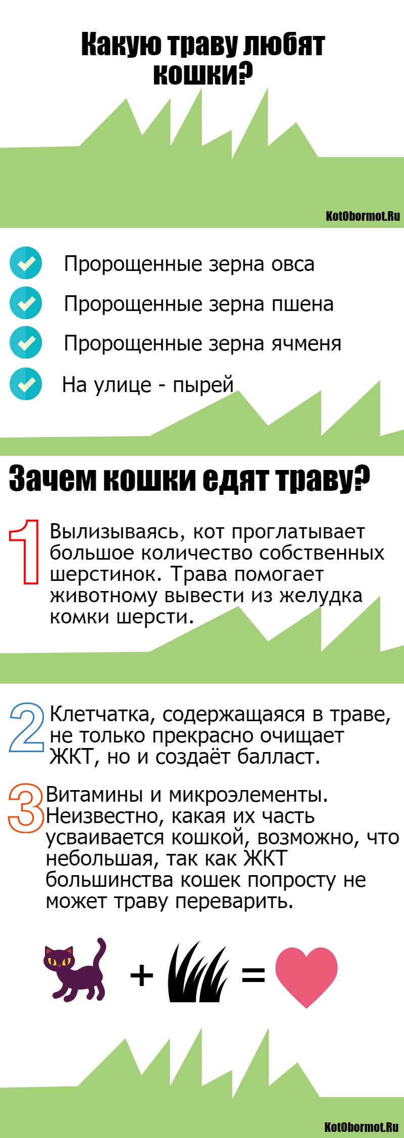 какую траву любят кошки