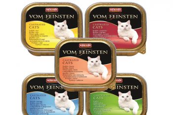 Корма для кошек Animonda – не вся анимонда одинаково полезна!