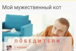 Итоги конкурса «Мой мужественный кот» 2017