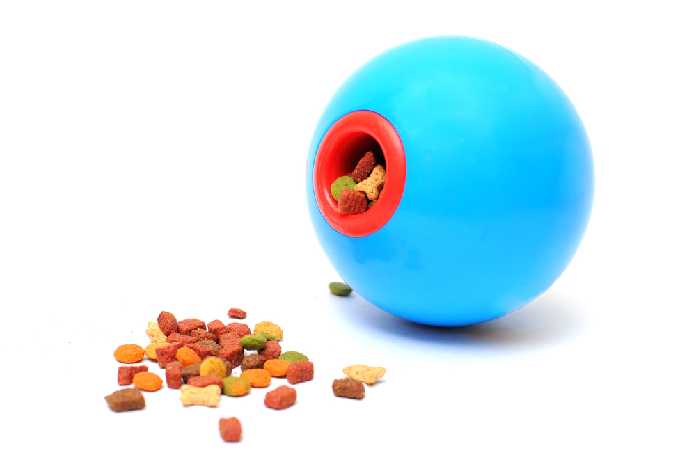 Интерактивные кормушки для кошек