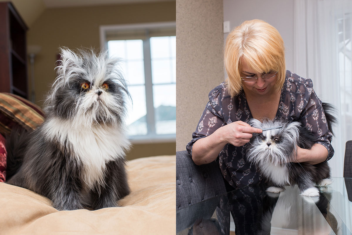 Не такие как все - 10 историй необычных кошек