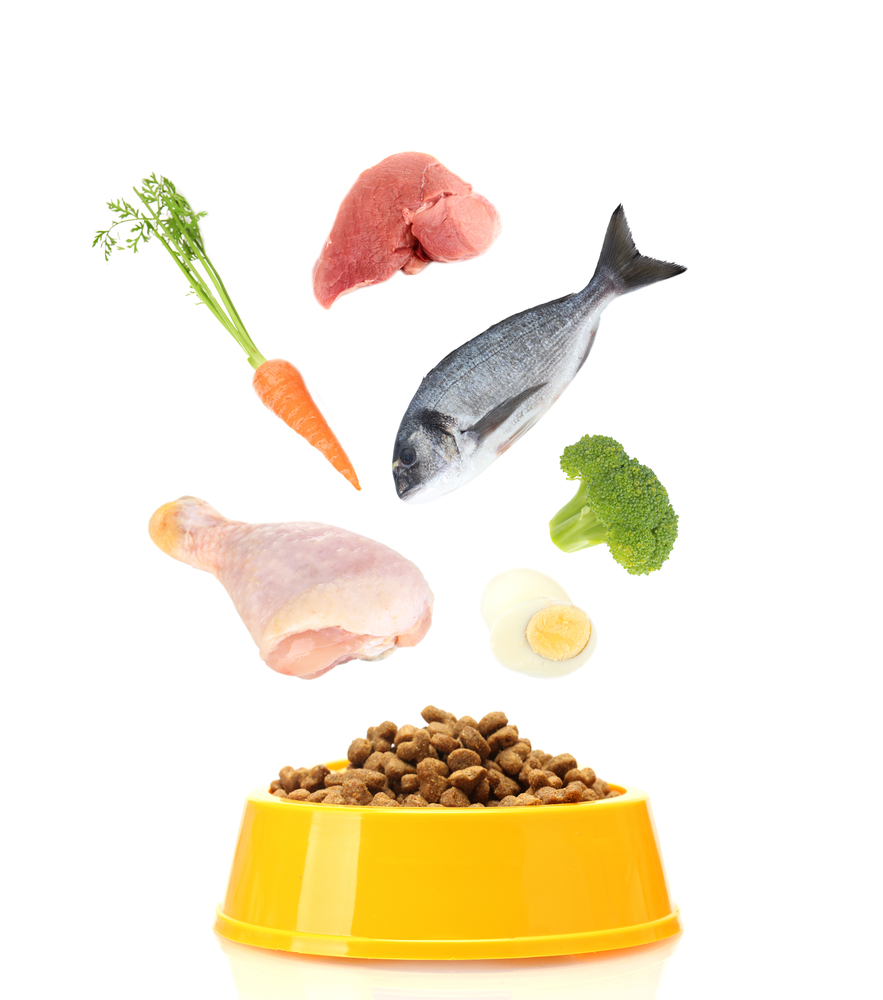 Обзор сухого корма AATU — холистик ли?