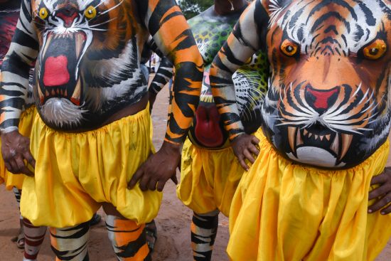 КотоДайджест на сентябрь — все самое интересное