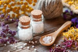 Гомеопатия для кошек: стоит ли использовать гомеопатические препараты?