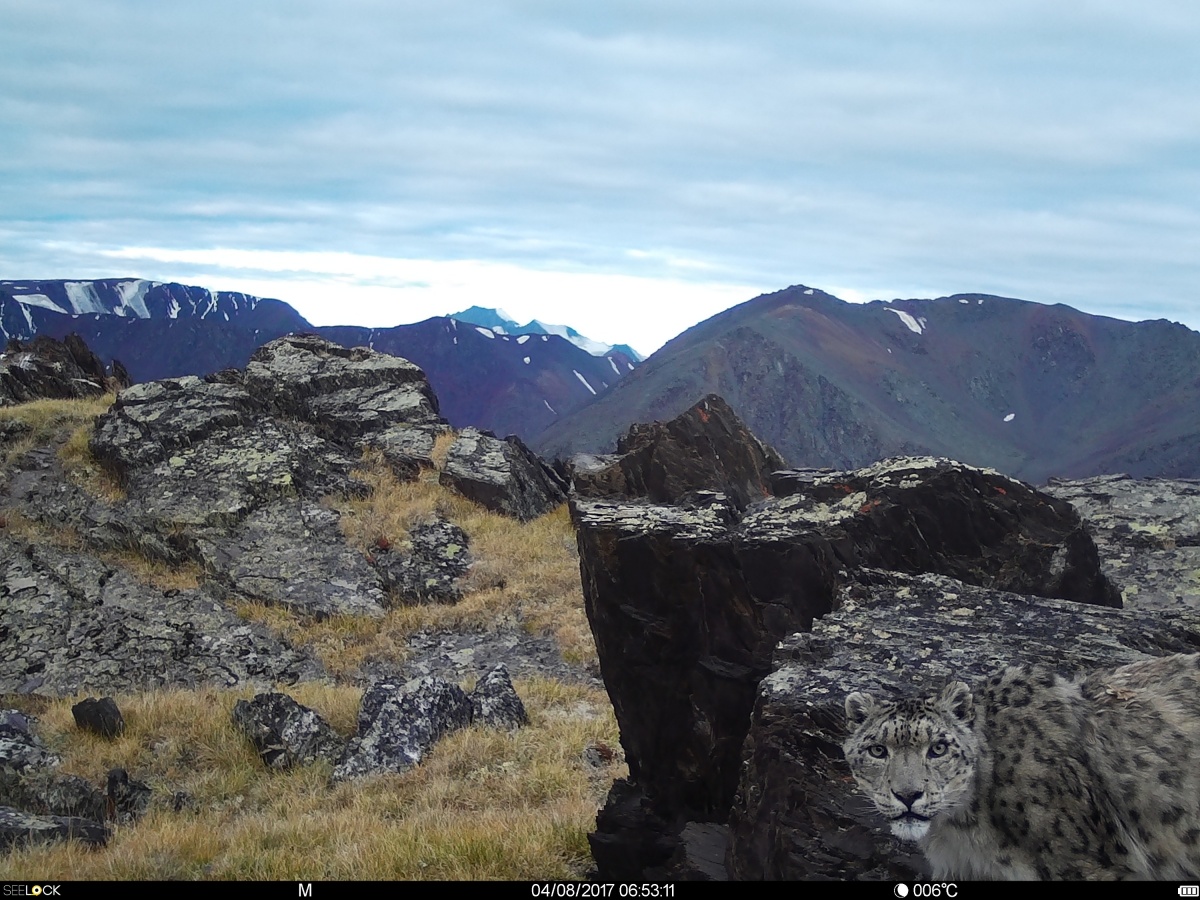 КотоДайджест на ноябрь - все самое интересное