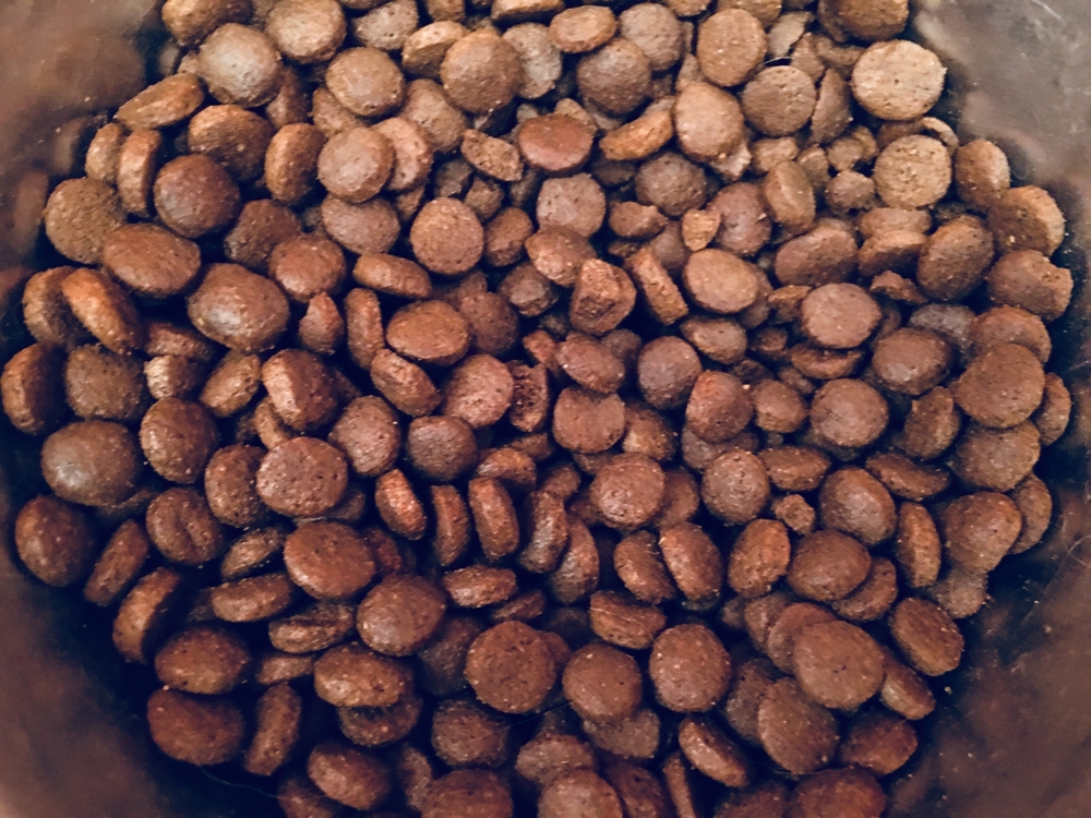 Обзор сухого корма Duke's Farm