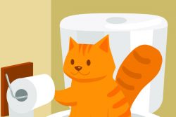 У кошки запор, что делать?