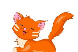 Рыжие кошки