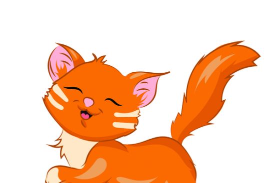 Рыжие кошки