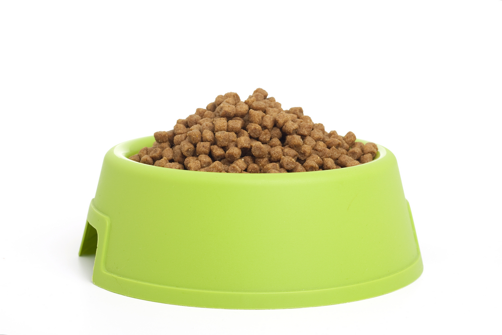 Обзор сухого корма Safari