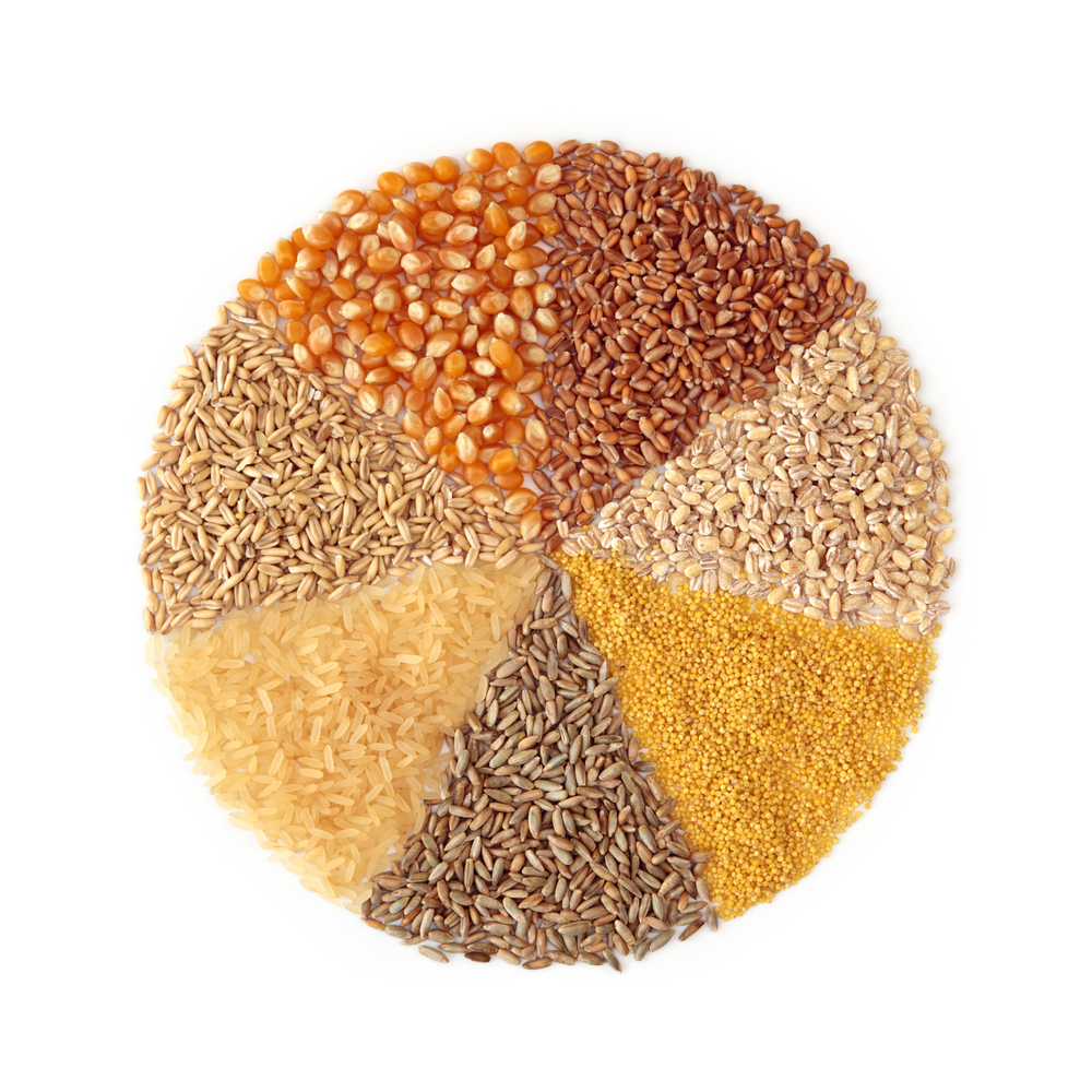 Обзор сухого корма Safari