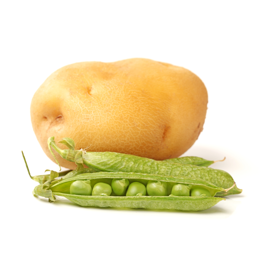 Обзор сухого корма Bosch Sanabelle DELICIOUS