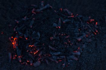 Зола в сухих кормах — что это и с чем ее едят