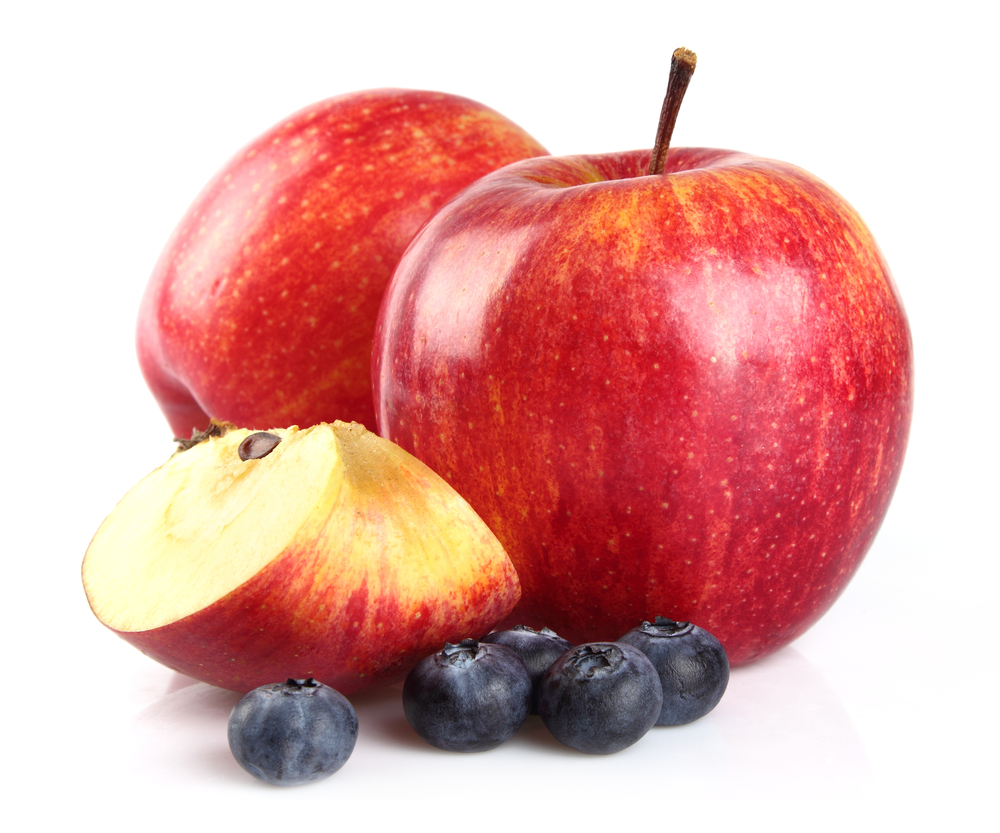 Обзор сухого корма Naturea