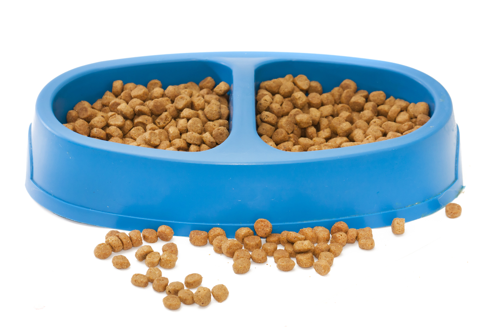 Обзор сухого корма Pronature Original