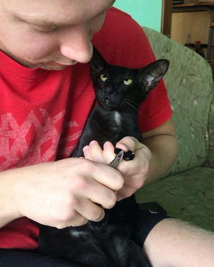 КотоДайджест на апрель - все самое интересное