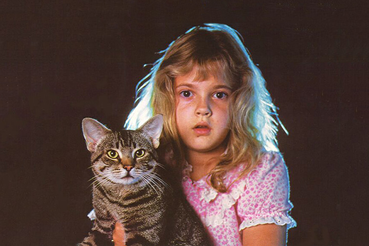 Известные коты из фильмов — фото и видео котов-актеров