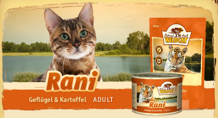 Обзор консервированного корма Wildcat